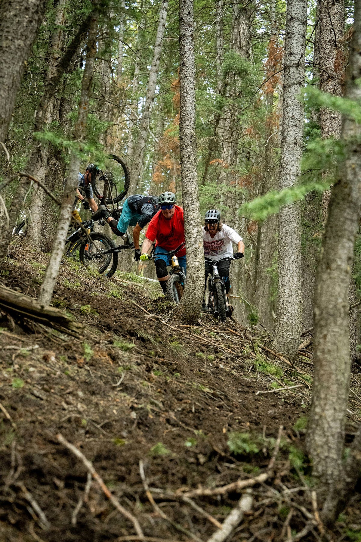 a group of bike trail riders on a forest trail in trees