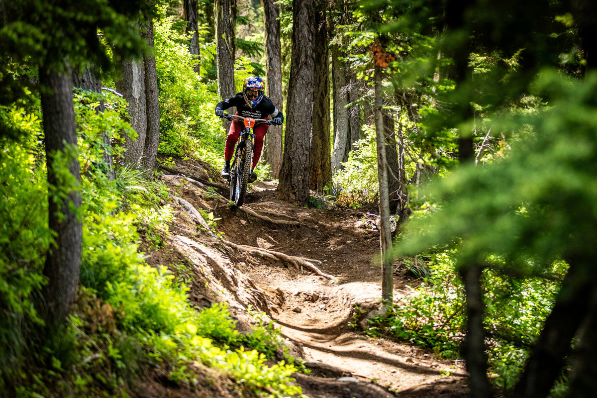 bike rider riding through forest trail through trees